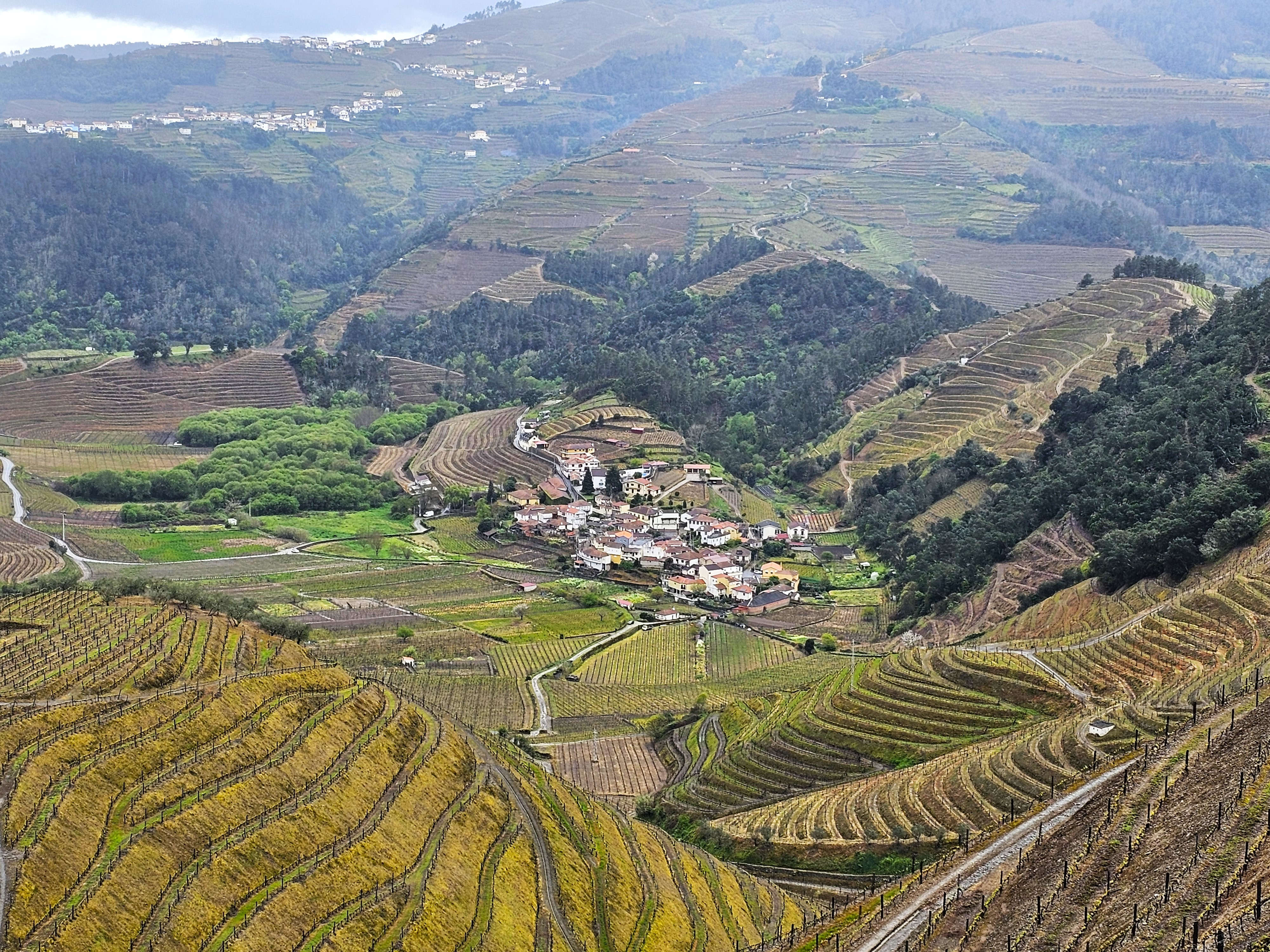 Overview